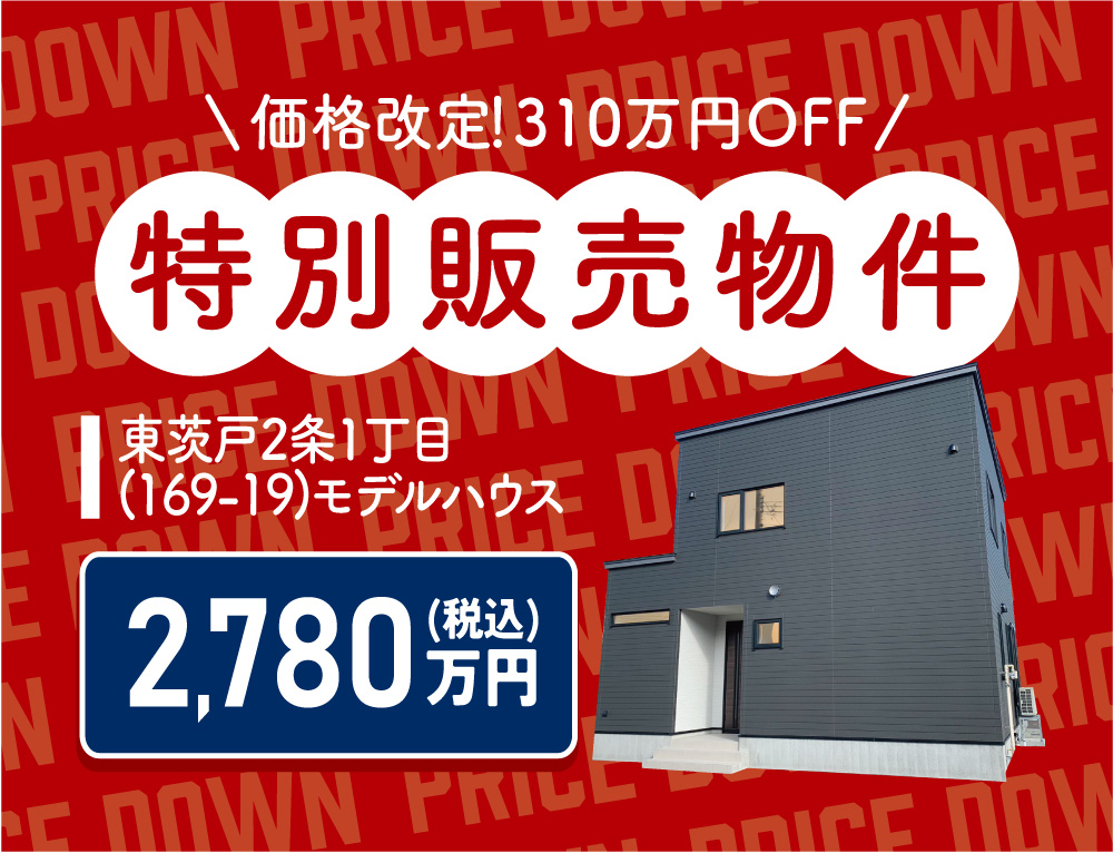 【価格改定！】東茨戸2-1(169-19)特別価格にて販売中