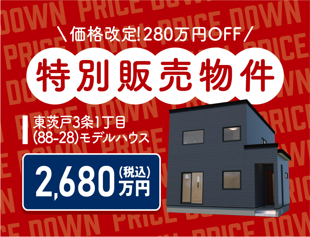 【価格改定！】東茨戸3-1(88-28)特別価格にて販売中