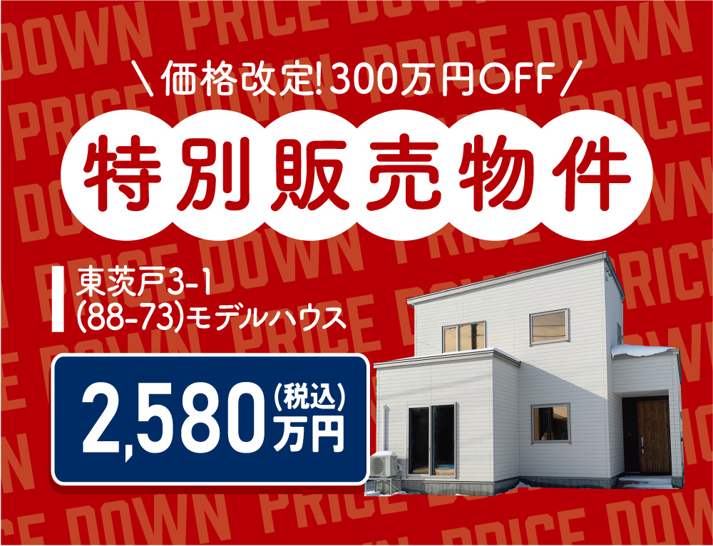 【価格改定！】東茨戸3-1(88-73)特別価格にて販売中