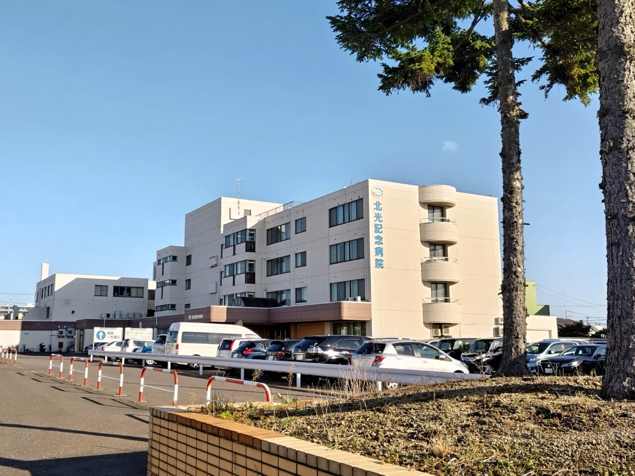 北31条東7丁目 周辺情報 11