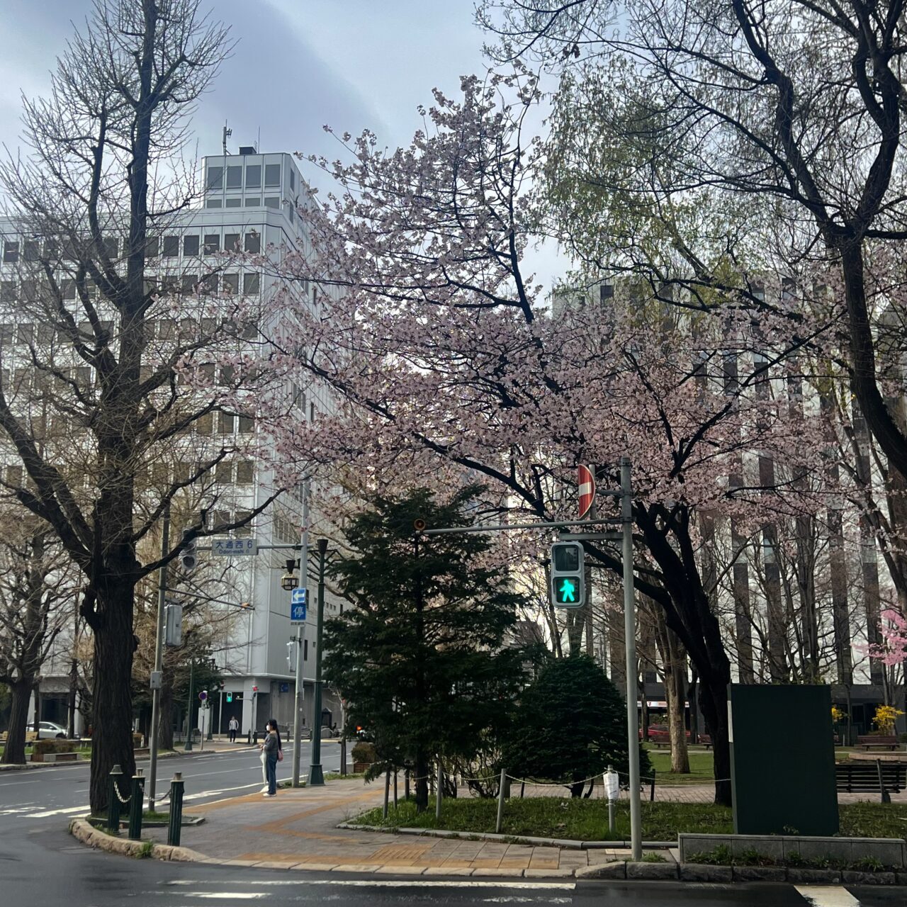 GW 🌸