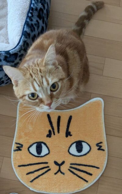 三愛　愛友会総会が行われました。