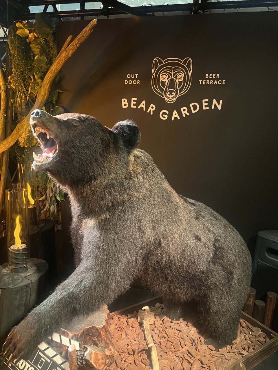🐻🍻